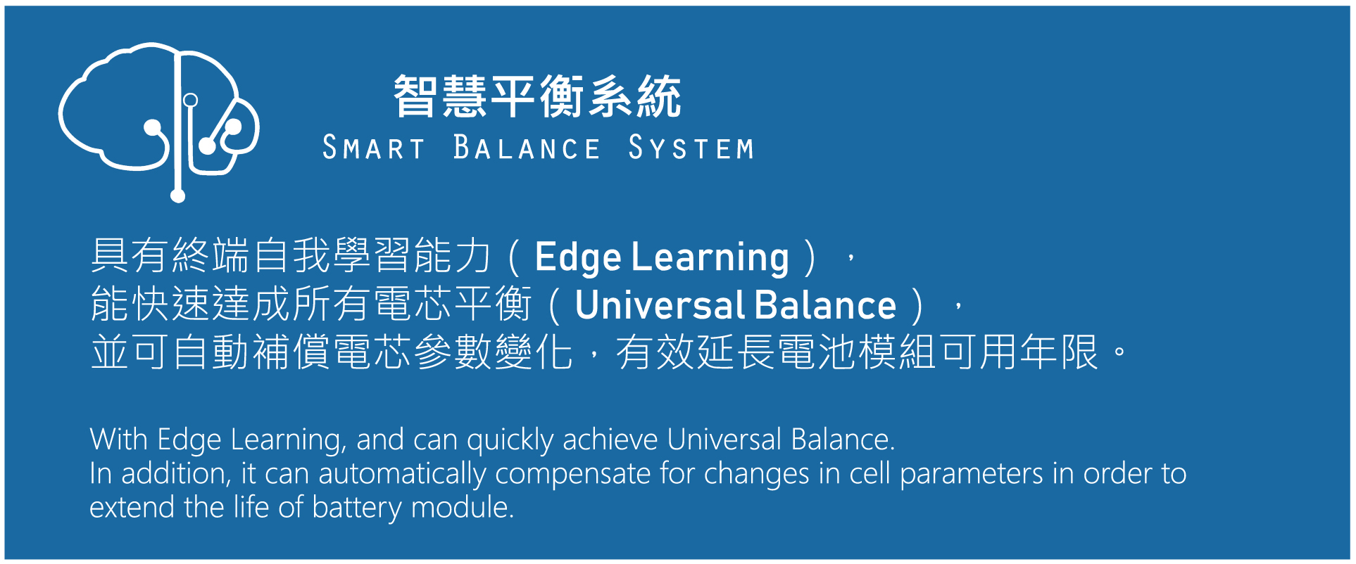 智慧平衡系統 Smart Balance System